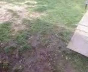 Vidéo maison exterieur