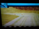 Mario Kart - 01- DS Desert du soleil