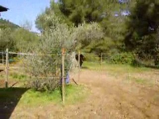 UNO DEL SOBERANO et UFANO DEL SOBERANO