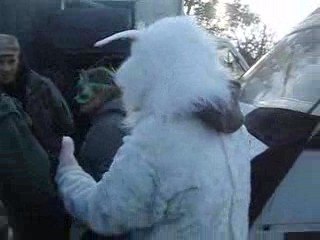 210309 - KRS  Asfixiés  Tribal Circus 001 (6)