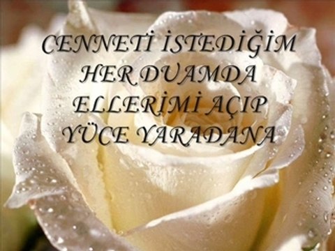 süper duygusal şarkı şiir baha