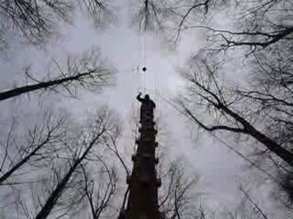 Team building at Eastnor Castle