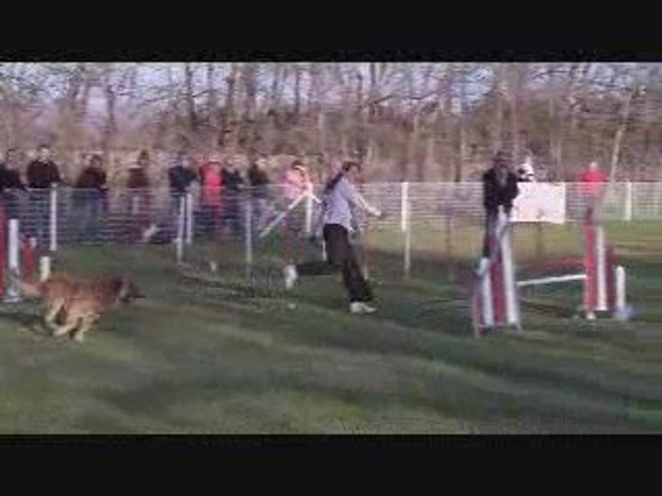 Maugio Sade Jumping