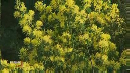 Vendée : La renaissance des Jardins