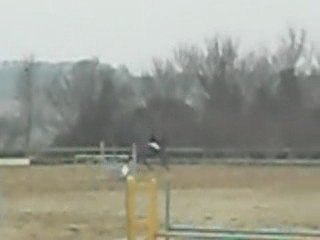 Farouk & Moi , La ville Es Nonais > Les perrieres