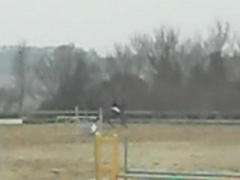 Farouk & Moi , La ville Es Nonais > Les perrieres