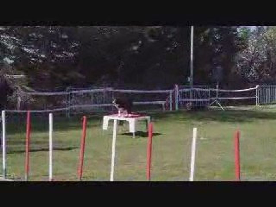 Maugio Juve GPF