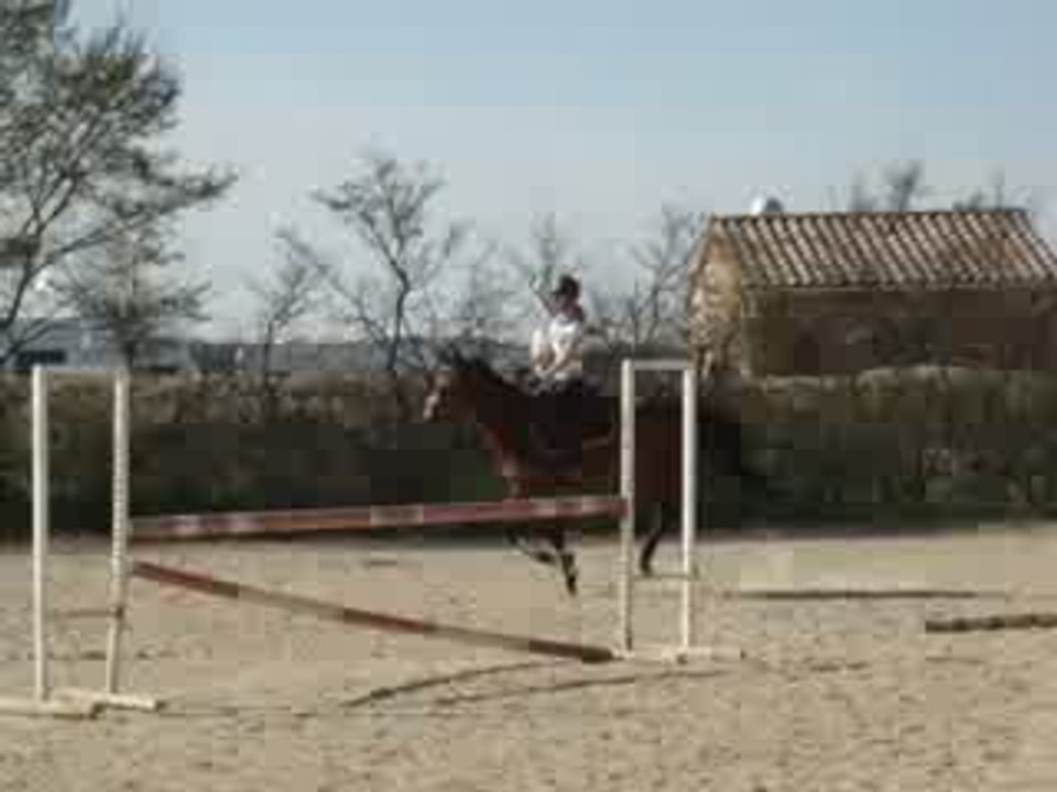 Pipper le 20.03