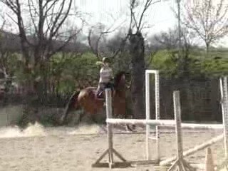 Pipper le 20.03 oxer et double