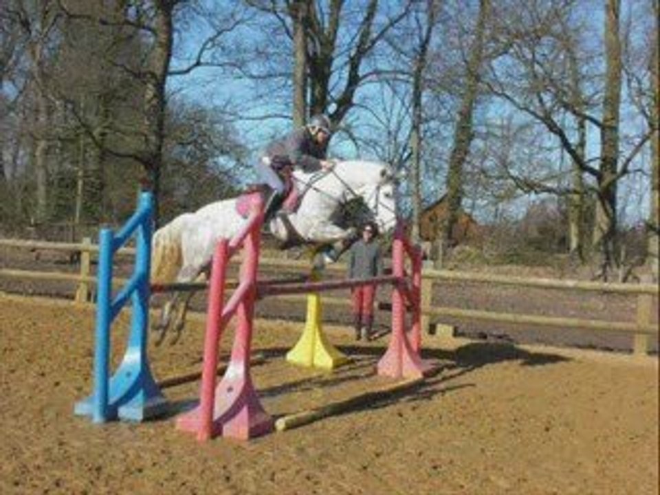 Mes chevaux