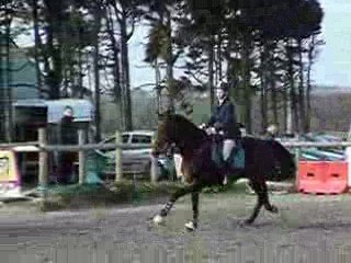 Cso nozdeizh  plabennec 22-03-09 (15)