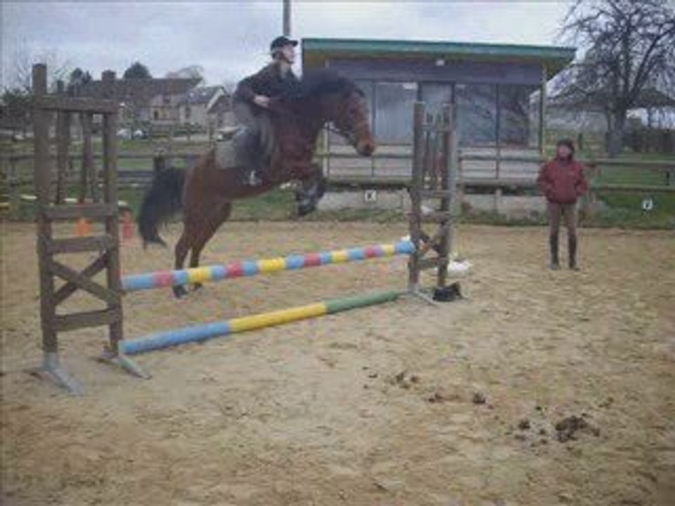 Pil poil cross et Ranger, the king...