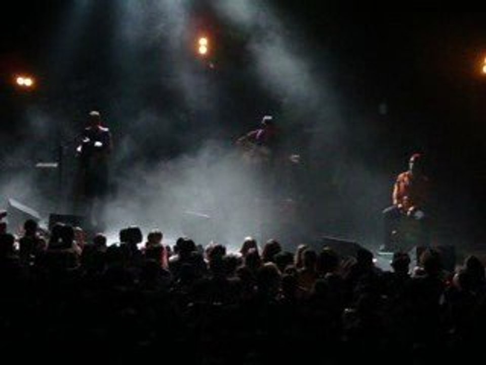 Des cigales dans la fourmiliere