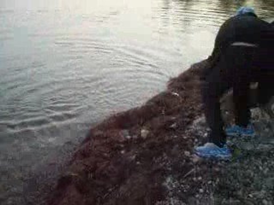 DIXIE A L EAU!!!!