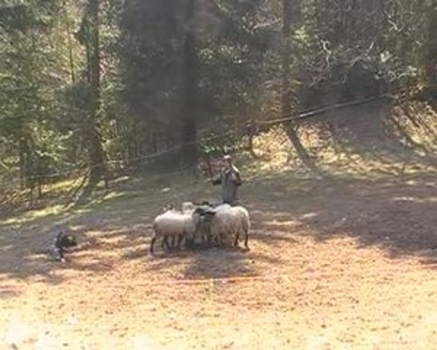 MOV0E5