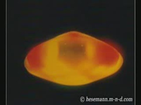 David Jacobs interview Aliens Agenda, Abductions & Hybrides EBE