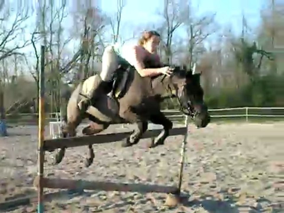 Morgane et Milvus