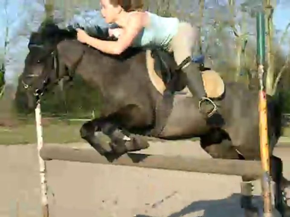 Morgane et Milvus