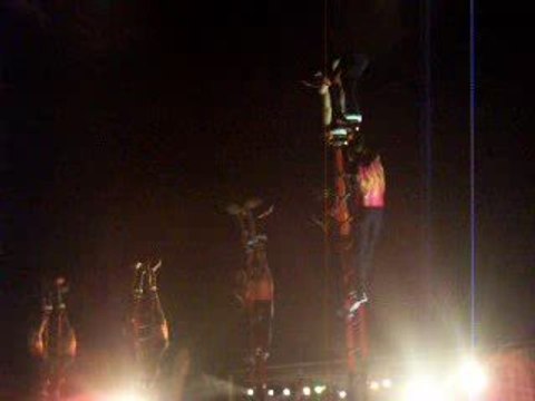 100_8551 SUR LES ECHELLES POMPIERS DE PARIS