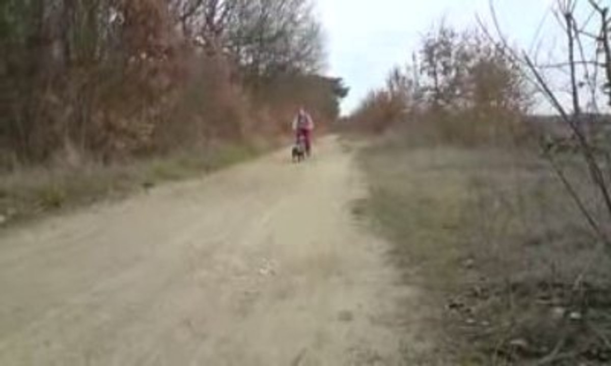 vtt