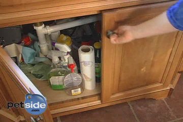 Pet Poisons In Your  Home