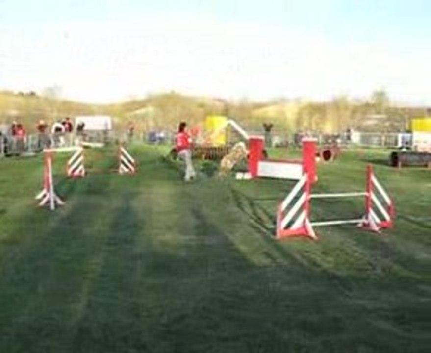 AGILITY AUCH MAYBE JUMP 09 betbeder +gayraud 057(1)