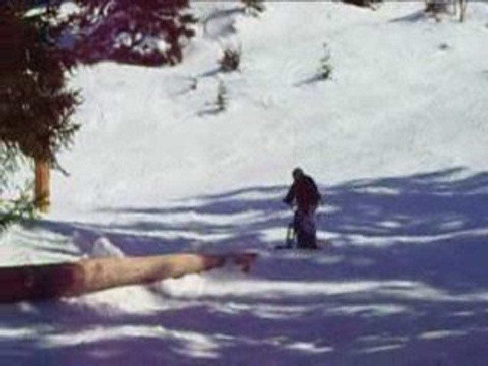 snowscoot session
