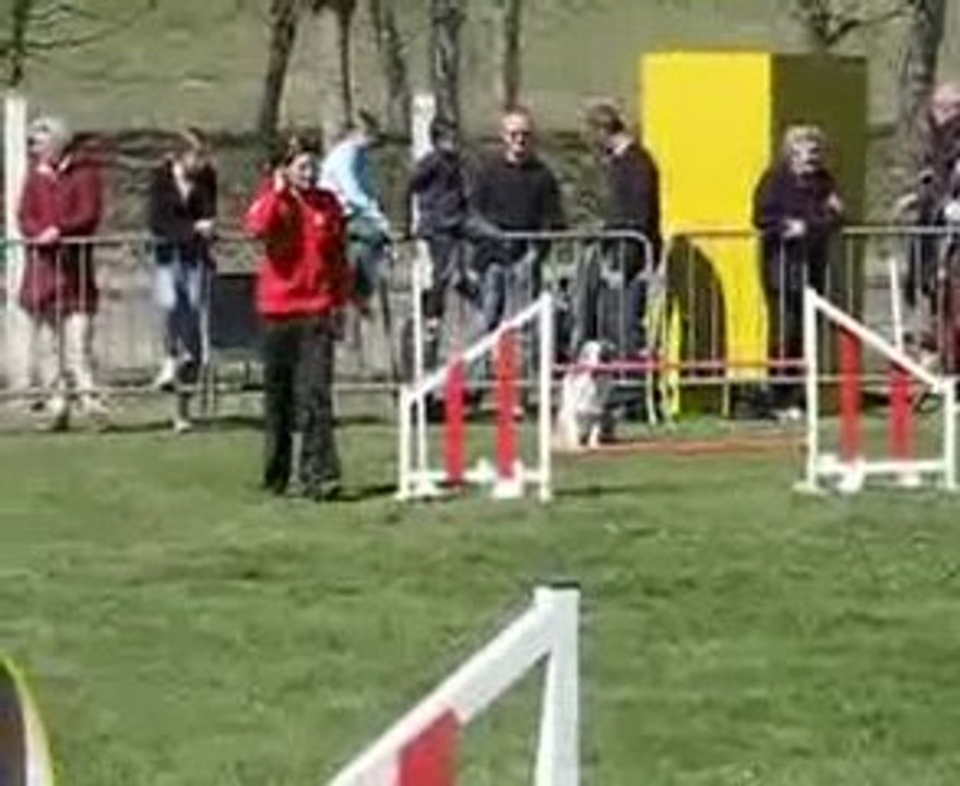 AGILITY FIDJY AUCH  09 betbeder +gayraud 047(1)