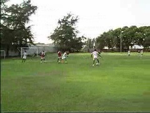 Ecureuils du Bénin à Sheraton hotel