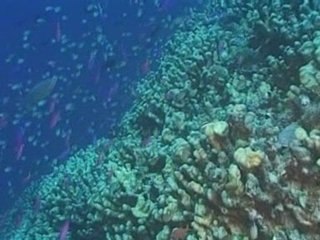 Kenyan man goes for 'The Best Job in the World.'