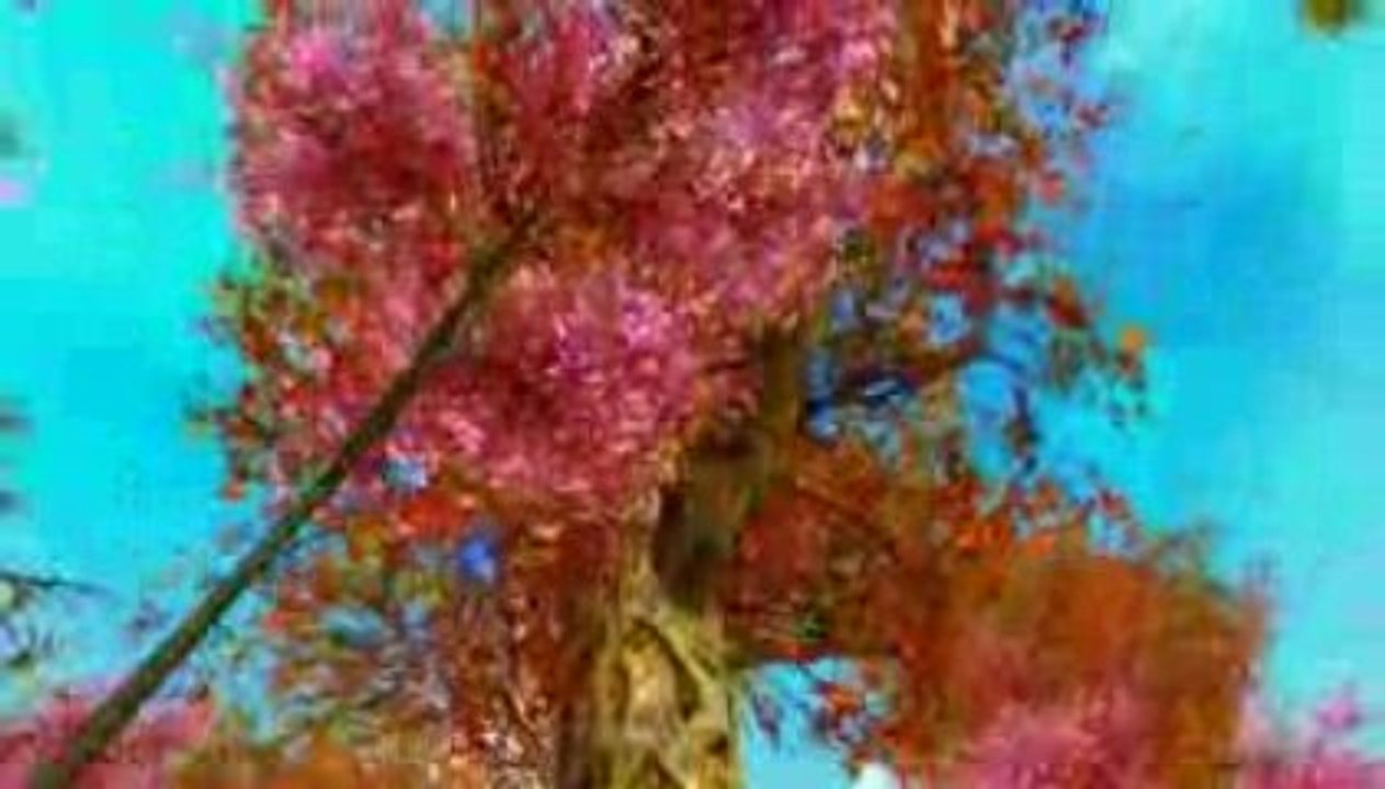 The World of Aion - Ishalgen