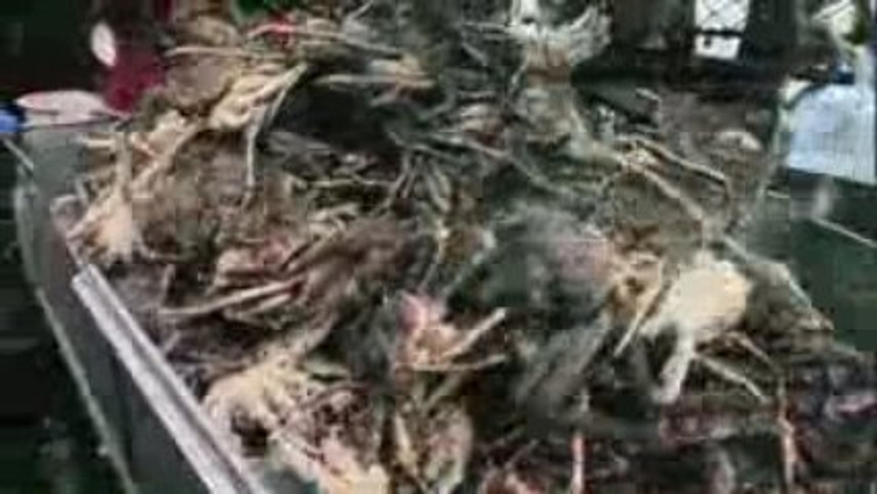 Deadliest Catch Season 5 Premiere - 4/14 @ 9pm E/P