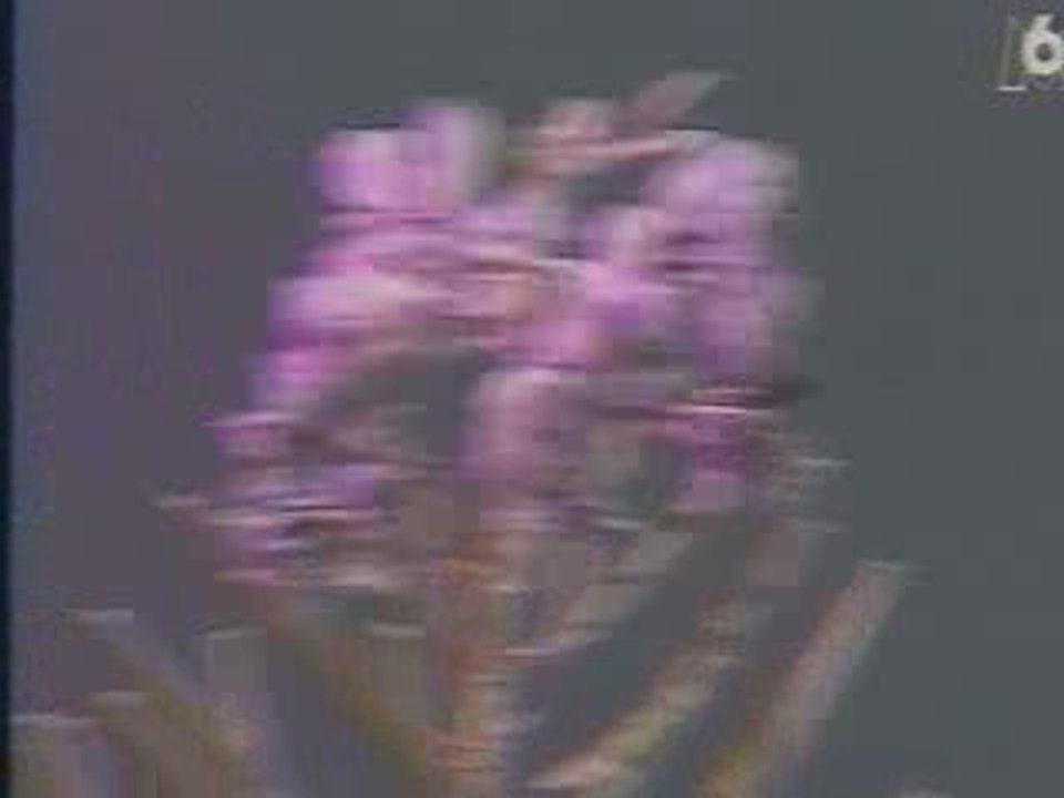 Essai moto Yamaha 600 XJS