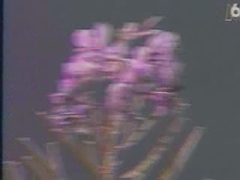 Essai moto Yamaha 600 XJS