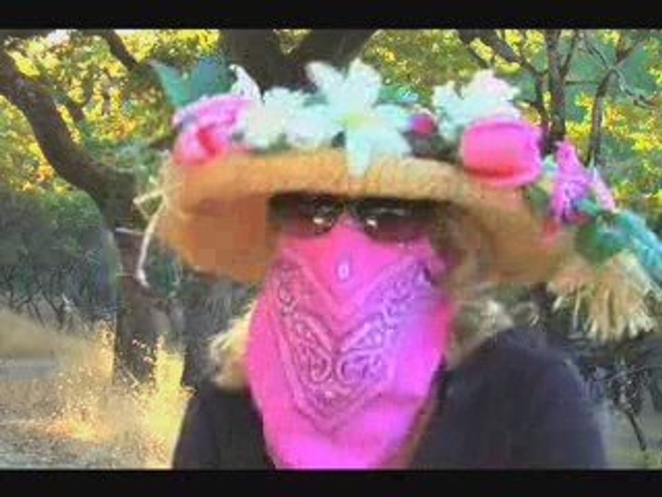 The Green Rush | Legalization of Marijuana Documentary