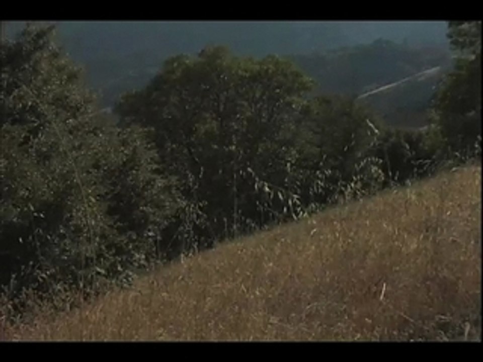 The Green Rush | Sacramento International Film Festival