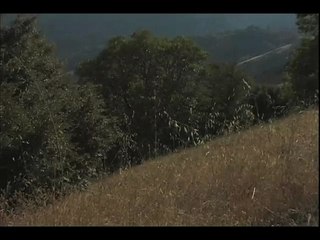 The Green Rush | Sacramento International Film Festival