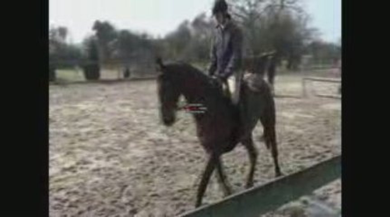 Dimanche 22 mars 2009 Détente 1