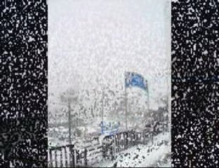 Sausset les pins sous la neige