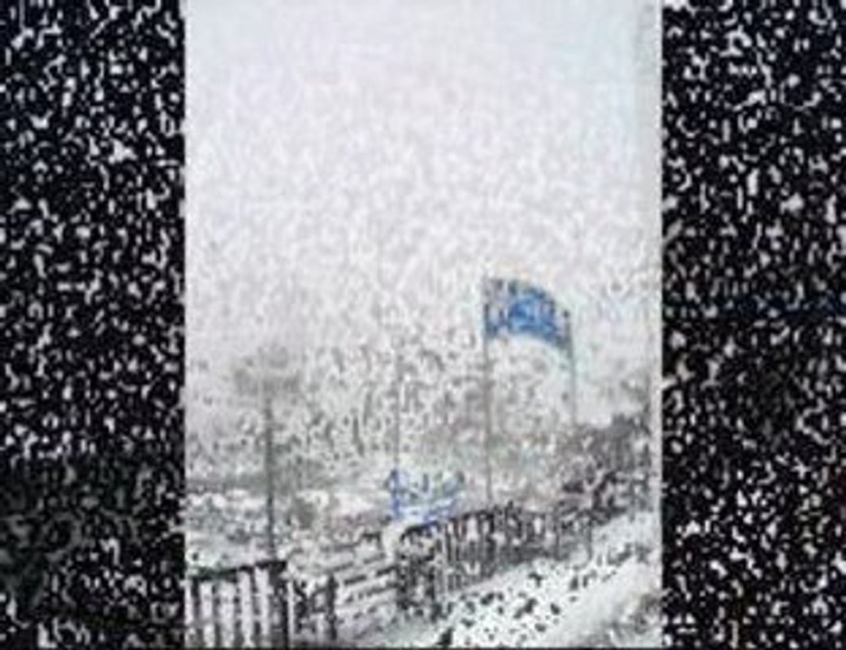 Sausset les pins sous la neige