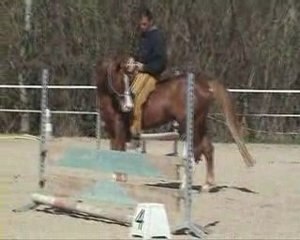 Latif - Travail à une rêne et cordelette