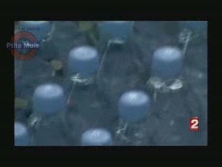 Bouteille plastique : la vie sans fin