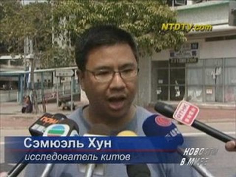 В прибрежных водах Гонконга появился кит