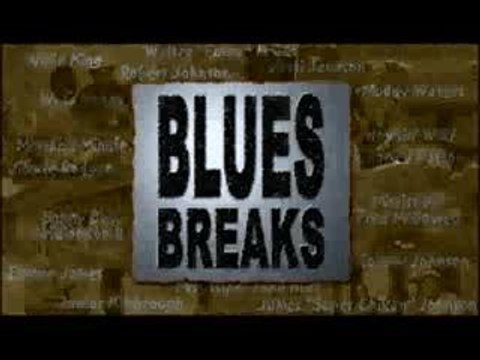 Robert Mugge - Blues Plantations