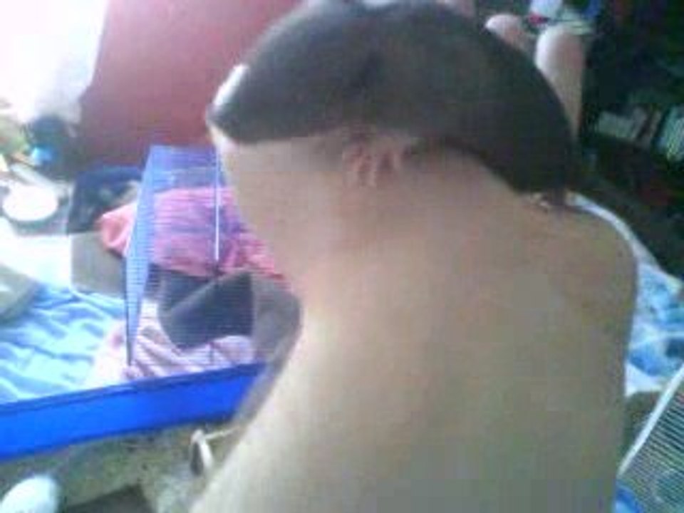 Mes Ratons a 14 Jours on ouvert les yeux