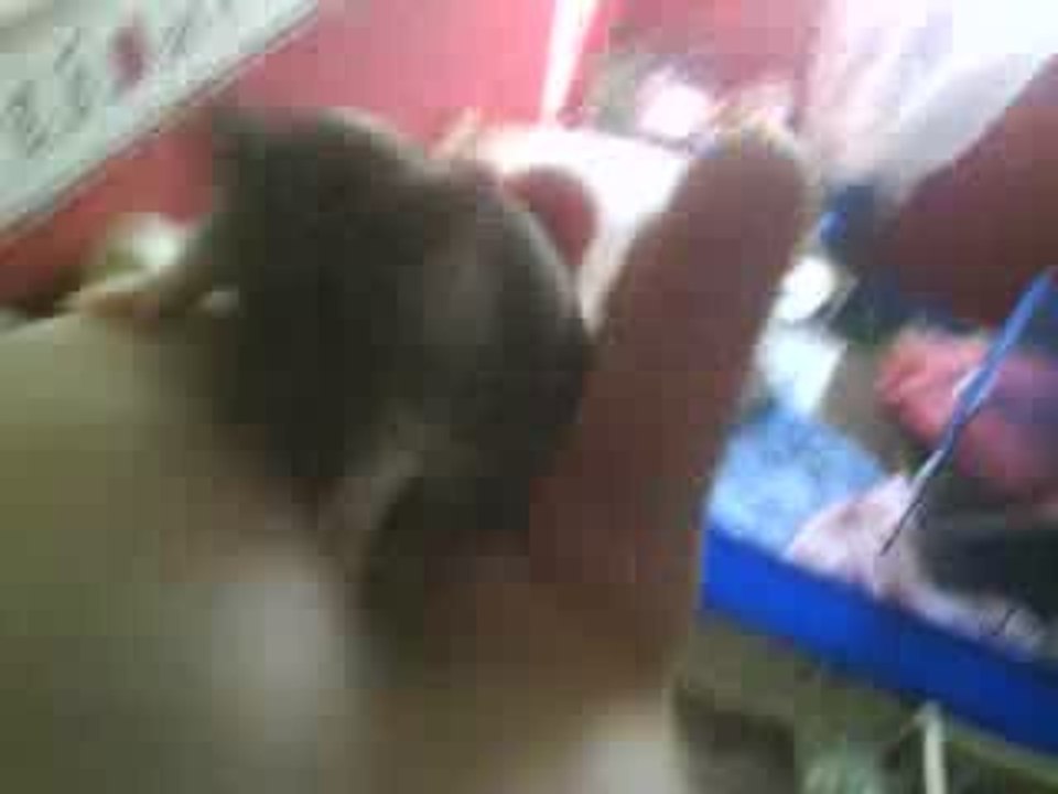 Mes Ratons a 16 Jours