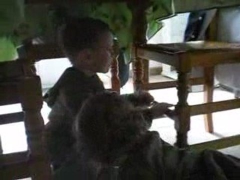 Célia et Florian jouent à cache cache !!!