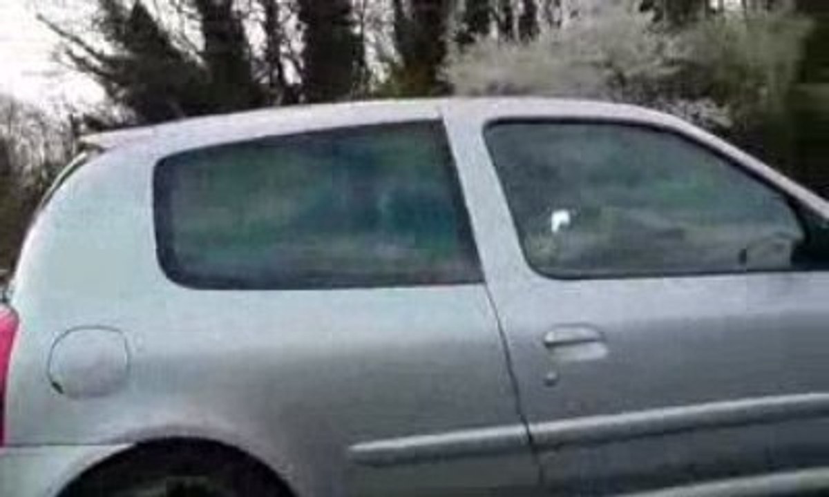 Clio rs