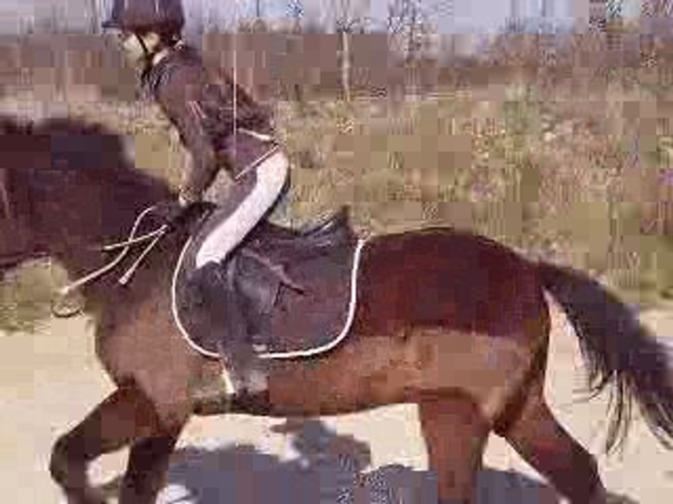 Jumping et mwa au saut