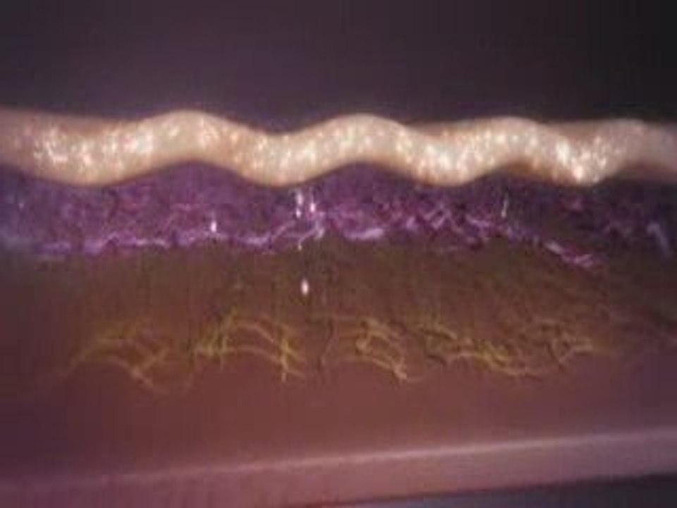 New Discovery AgeLOC - Nu Skin